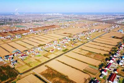 啟東鄉(xiāng)村游再登央視，沙地圩田文化與創(chuàng)新投資雙輪驅(qū)動(dòng)